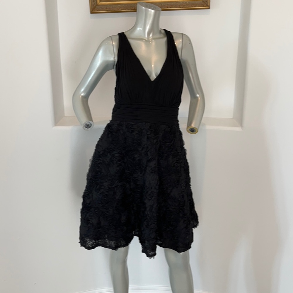 Aidan Mattox Fit & Flare Laser cut roses Dress 12